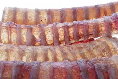 Трахея пластинка M  100 г (13-15 см)