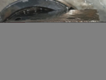 Бак топливный 450 L 2023г