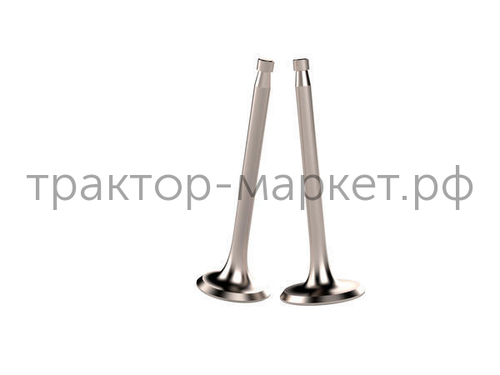 ZS1100 Клапан впускной, выпускной