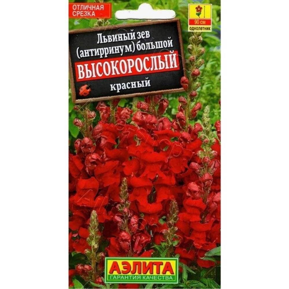 Львиный зев «Высокорослый», однолетник, красный