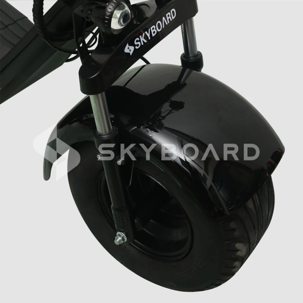 Электроскутер CityCoco SkyBoard Trike BR40-3000 PRO