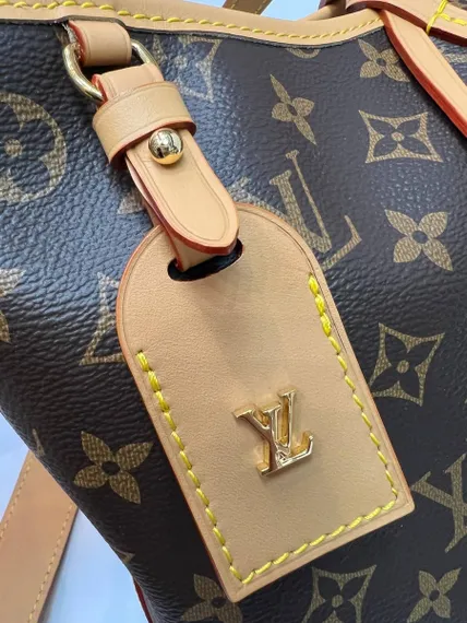 Сумка Louis Vuitton Carry All MM коричневый