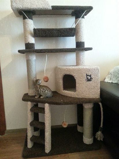 Игровой комплекс для кошек КИСМИТ И-8