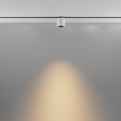 Трековый магнитный светодиодный светильник Maytoni Exility   TR132-2-7W3K-W