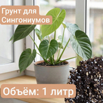 Авторский грунт для Сингониумов 2 литра