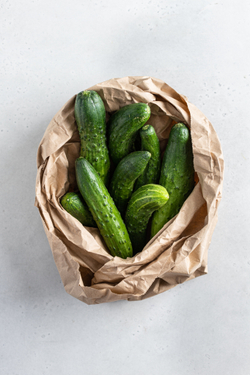 Огурцы сорта Апрельский