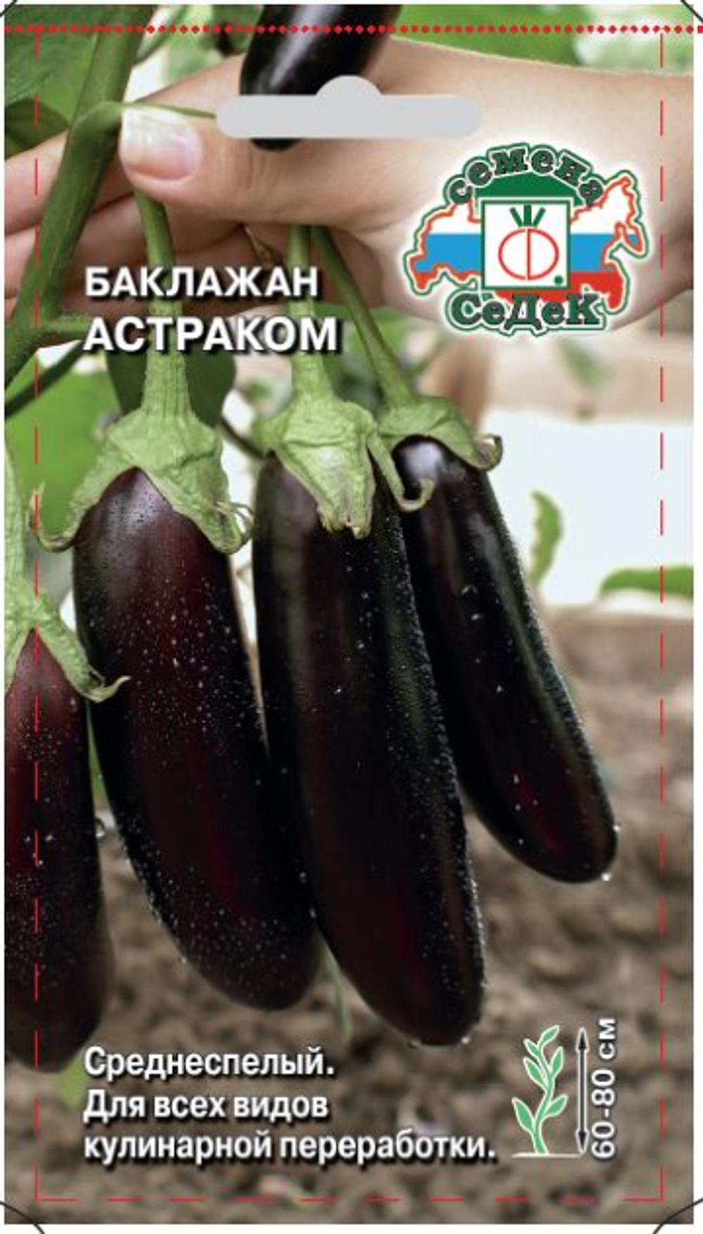 Баклажан Астраком Седек