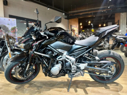 Kawasaki Z 900, 2018