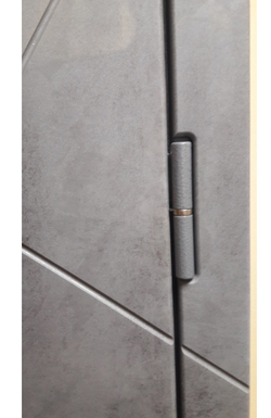 Входная металлическая дверь  с зеркалом RеX (РЕКС) 13 Бетон тёмный / зеркало Пастораль Сандал серый