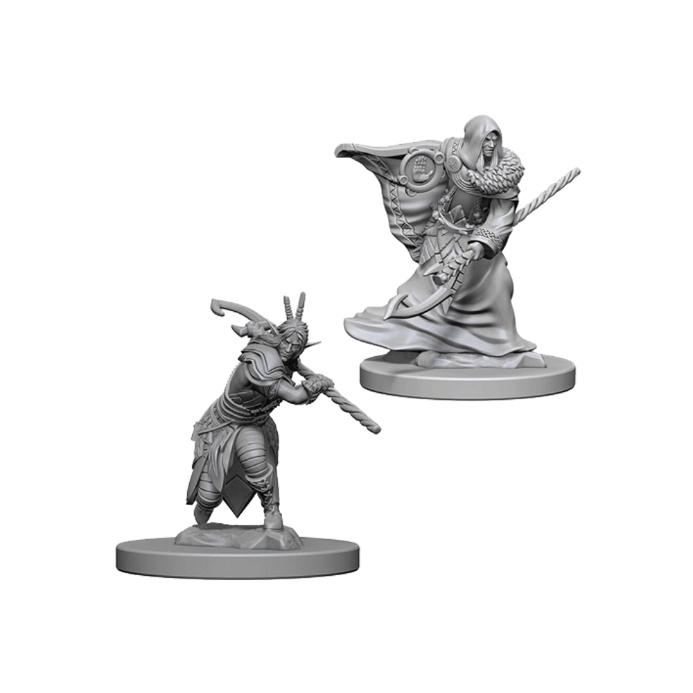 Elf Male Druid / Эльфы-друиды