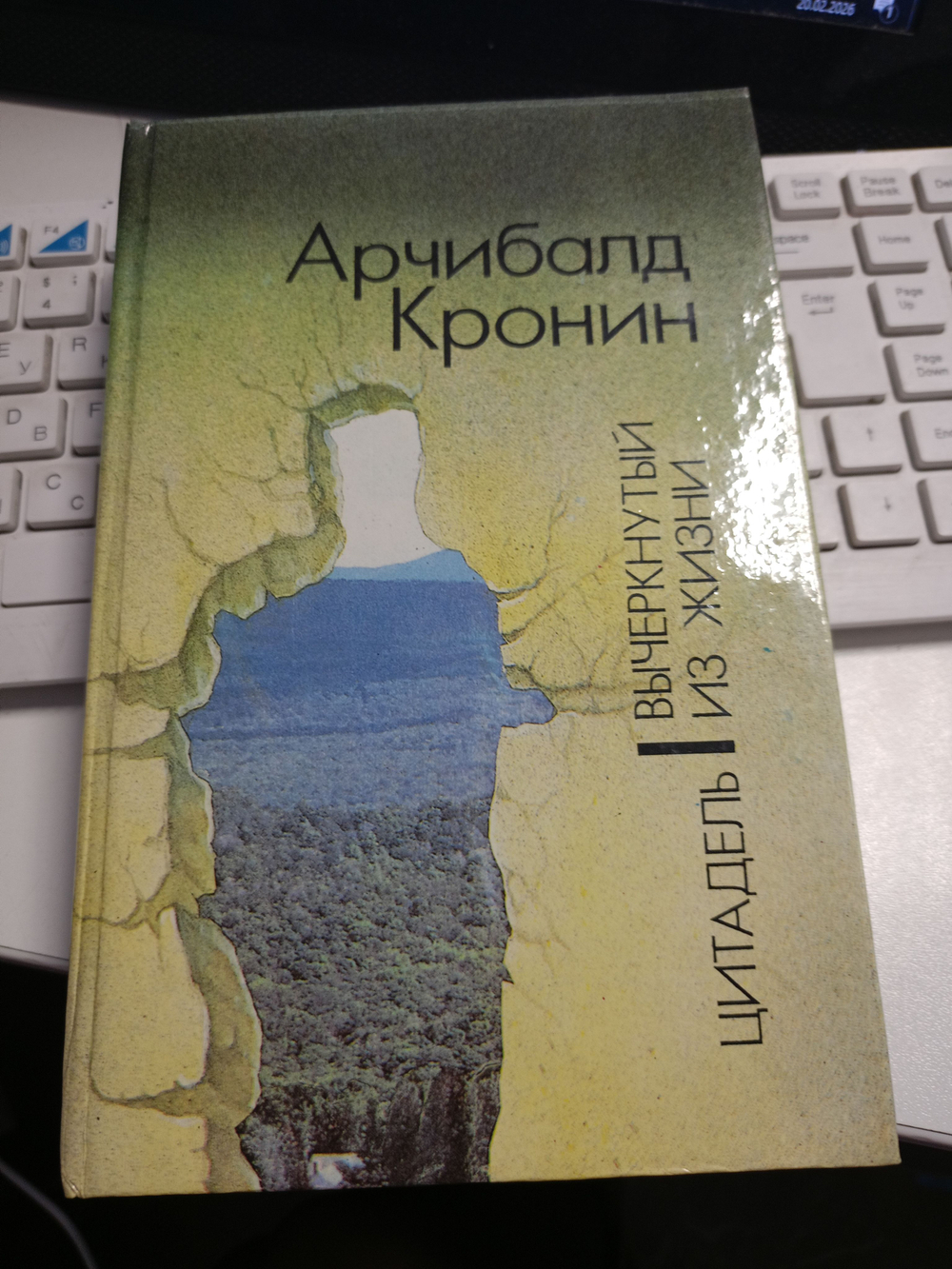 Цитадель. Вычеркнутый из жизни