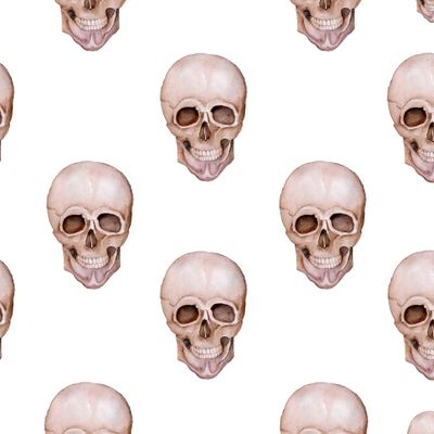 Череп на белом фоне