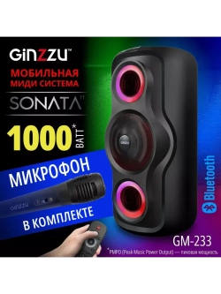 Переносная Bluetooth MIDI-система GM-233