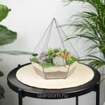 Флорариум с суккулентами Алмаз Laaroom
