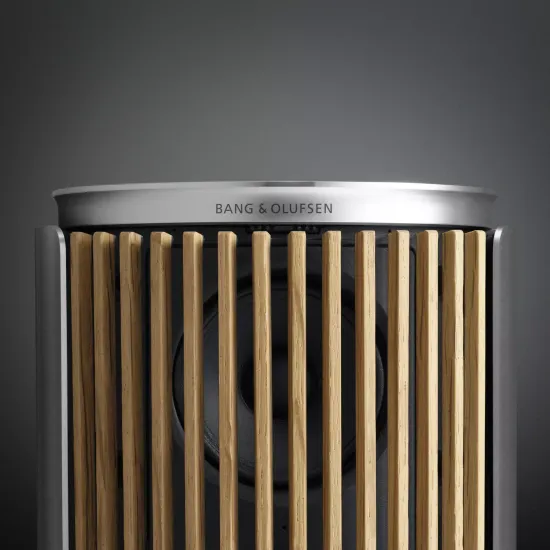 Bang & Olufsen Beolab 8 Silver/Oak, TS