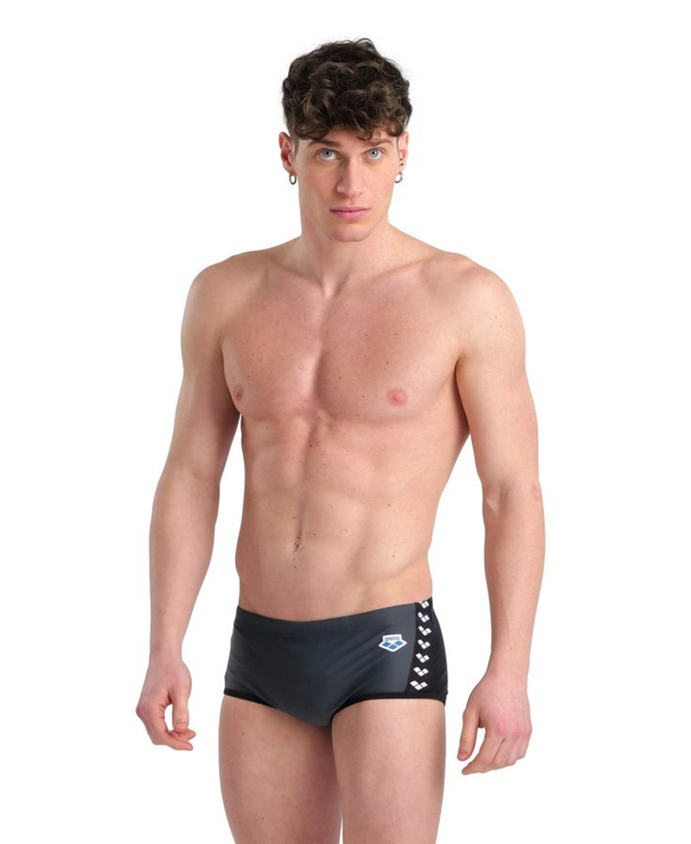Плавки Arena ICONS SWIM LOW WAIST SHORT PANEL Плавки Arena ICONS SWIM LOW WAIST SHORT PANEL