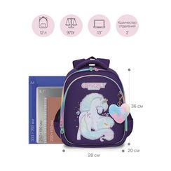 Çanta \ Bag \ RAz-286-4 Рюкзак школьный (/1 фиолетовый)