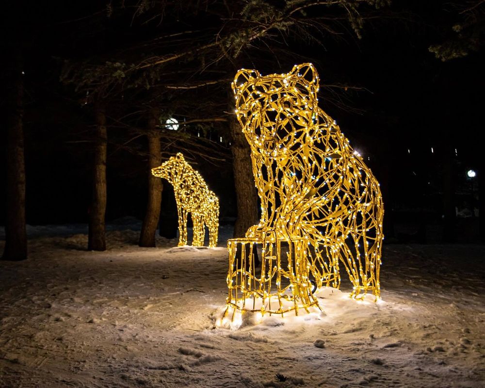 светодиодный медведь