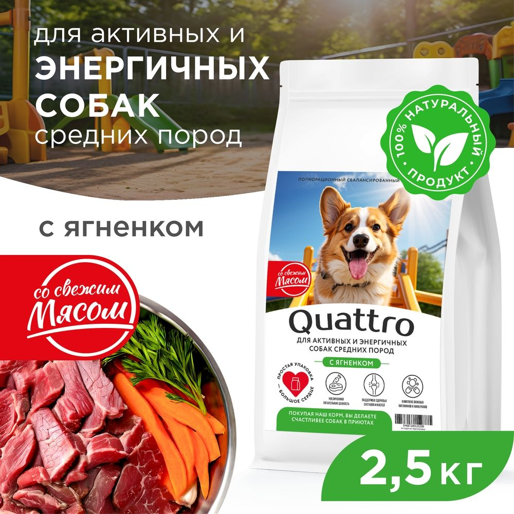 Корм сухой для взрослых собак средних пород, премиум полнорационный комплекс, для активных и энергичных, с ягненком, 2,5 кг, QUATTRO