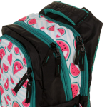Рюкзак школьный Тайлер "Арбузы" 30*44*14 см. 2 отд., 1 карман, боковые карманы на молнии (Luris)