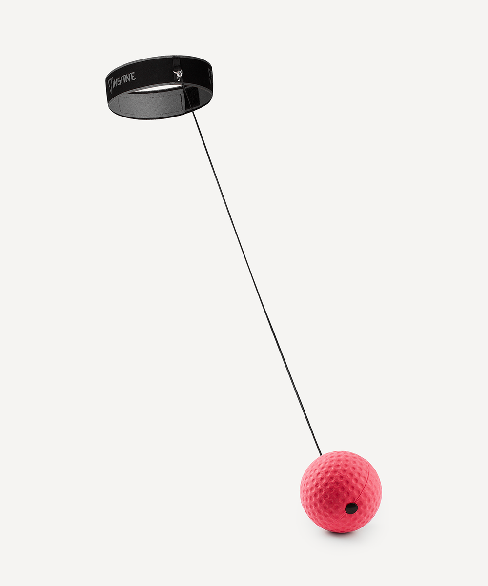 Мяч боевой INSANE IN24-FB102 на резинке