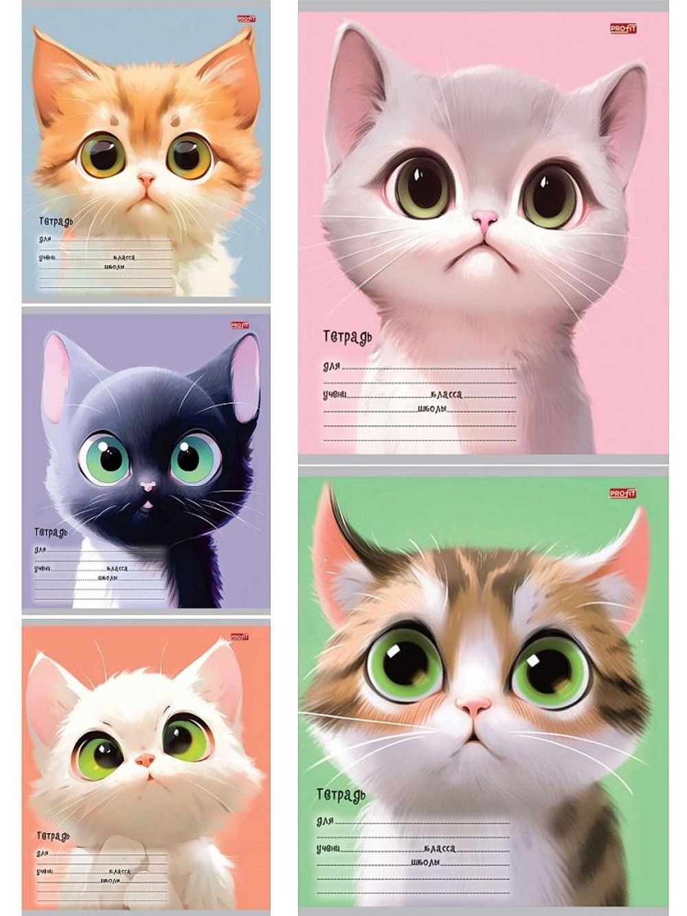 Тетрадь А5 12л. линия "Мультяшный котик!" облистер -цвет. мел. обл. 5 дизайнов (Проф-Пресс)