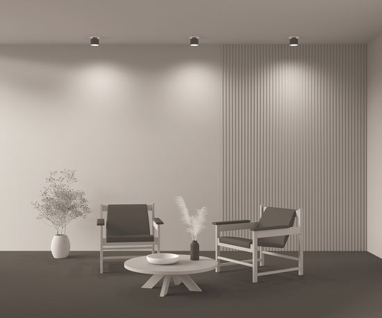 Потолочный светильник Technical C009CW-L12B