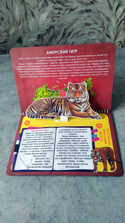3D-Альбом "Красная книга животных России"
