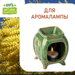 Мимоза, отдушка для свечей и мыла