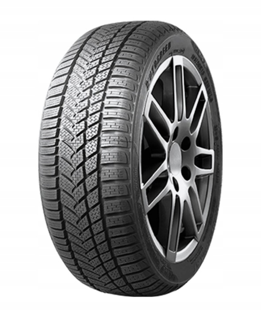 Зимняя шина Autogreen WL5 (195/55 R16 87H)