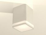 Накладной светильник Ambrella Light XS XS7812020