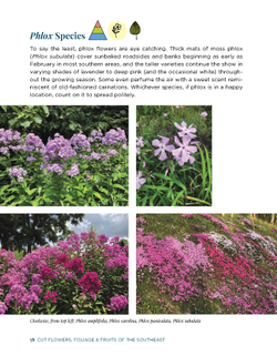 Cut Flowers, Foliage and Fruits of the Southeast
