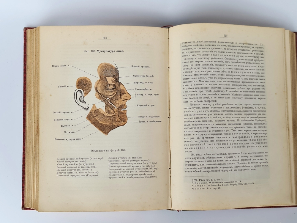 "Всеобщая психология с физиогномикой в иллюстрированном изложении". И.А.Сикорский. 1912 г.