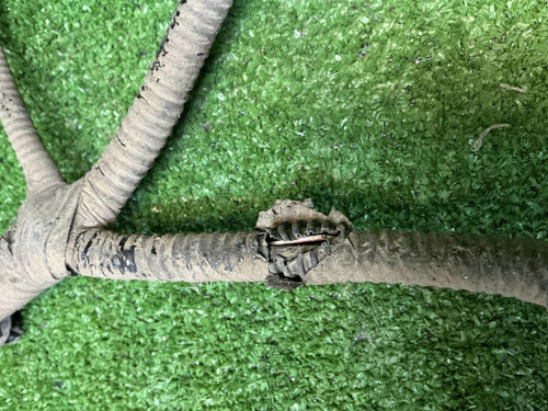 Проводка заднего бампера Haval H3 (2024-н.в.)