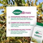 NaturesPlus, Herbal Actives, Boswellin®, 300 мг, 60 капсул