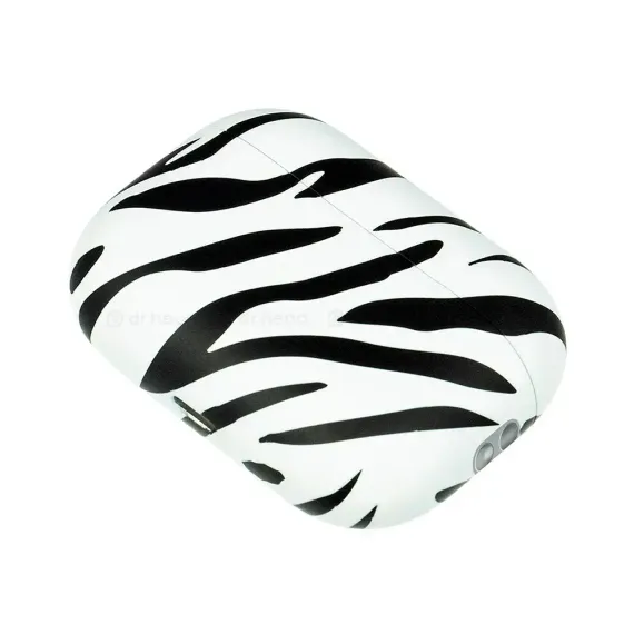 Apple AirPods Pro 2nd gen with MagSafe USB-C (2023) Zebra