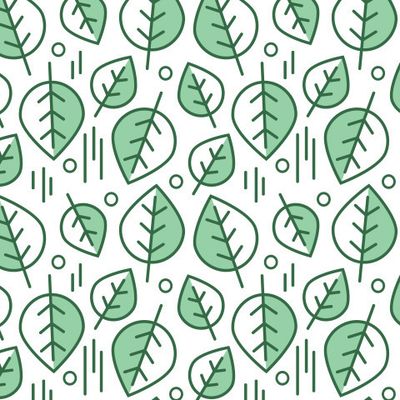 Зеленые листья на белом (холодный)