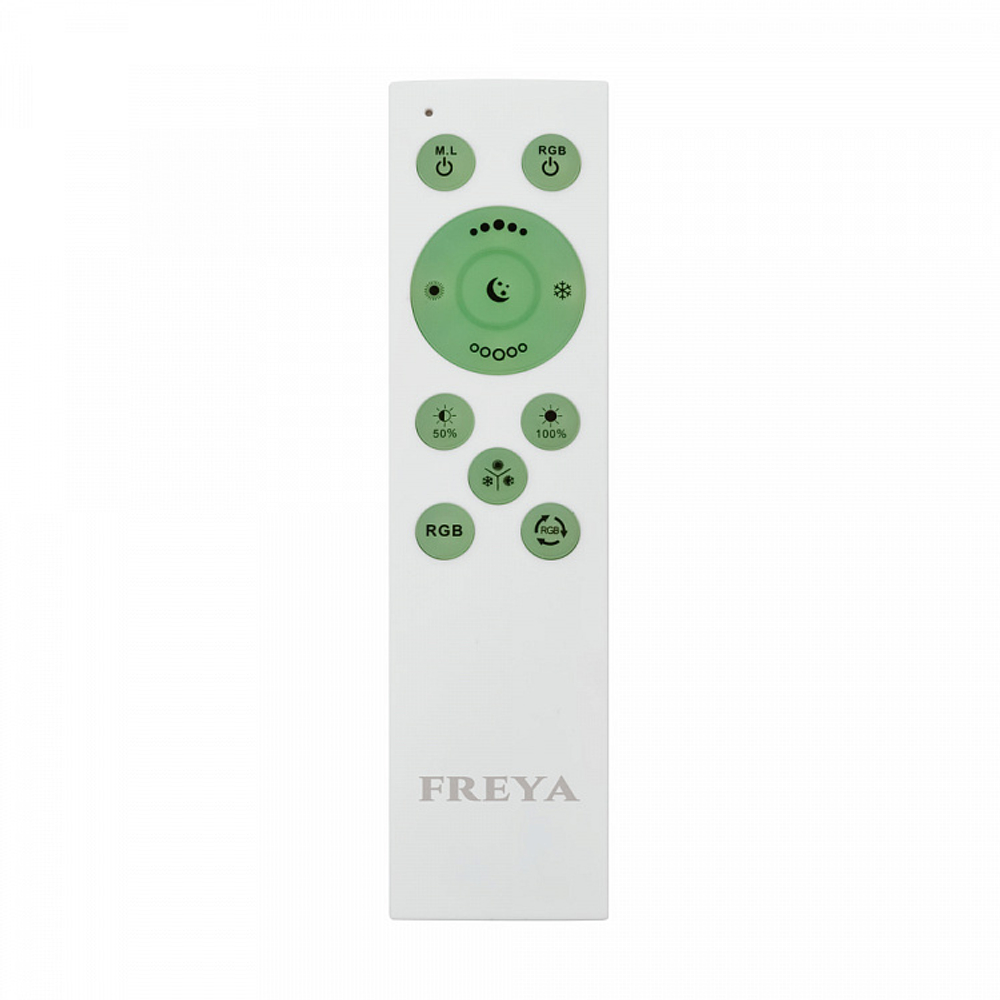 Потолочный светодиодный светильник FR10012CL-L24W