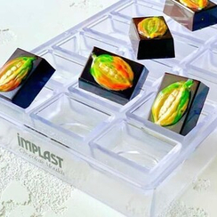 66 | Форма для шоколадных изделий (275*135 мм)