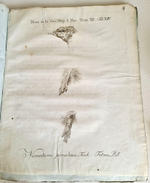 "Memoires de la societe imperiale des naturalistes de Moscou T. 1, 3, 5 (Воспоминания Московского Императорского Общества естествоиспытателей)". 1817 г.