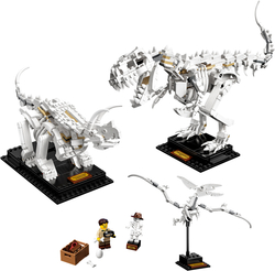 LEGO Ideas: Кости динозавра 21320 — Dinosaur Fossils — Лего Идеи