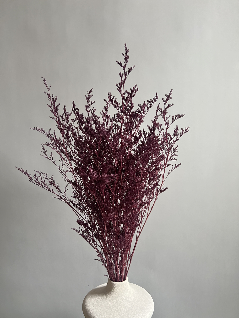 Кермек винный