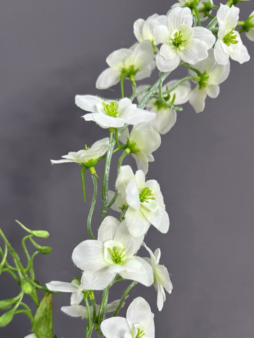 Дельфиниум белый (h79 см)