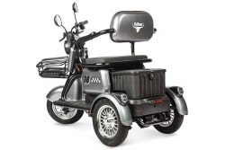 Электротрицикл Rutrike Бумеранг