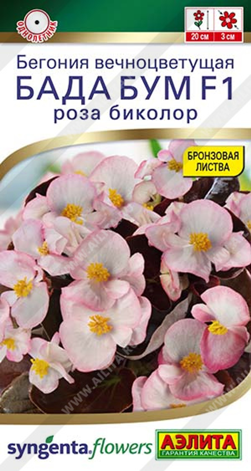 Бегония Бада бум F1 роза биколор 5шт Аэлита