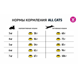 Сухой полнорационный корм ALL CATS для взрослых стерилизованных кошек с курицей, пакет 13 кг