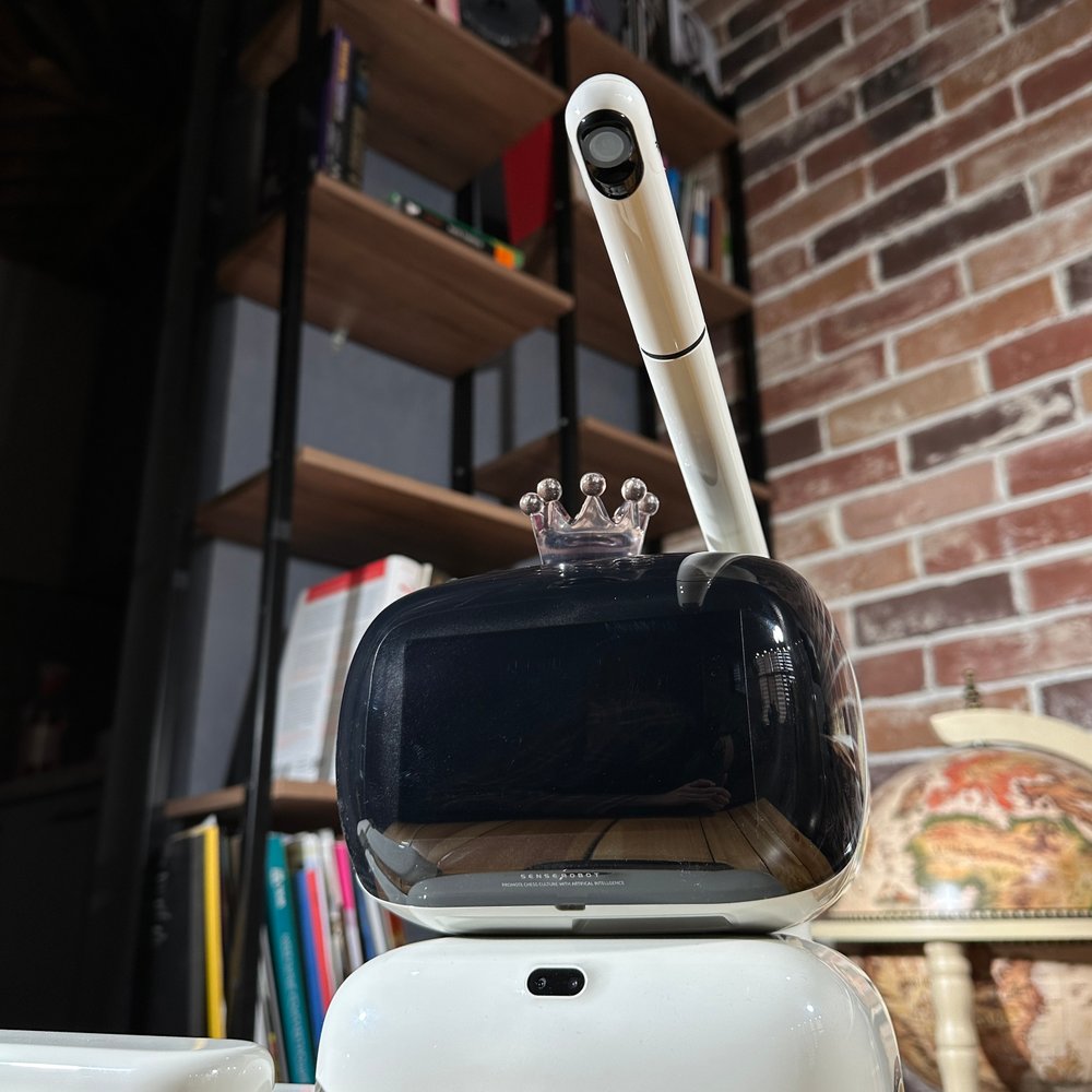 Шахматный робот «Chess»