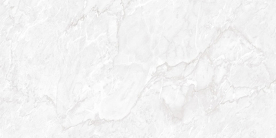 Керамогранит Carrara Pearl Polished 60x120