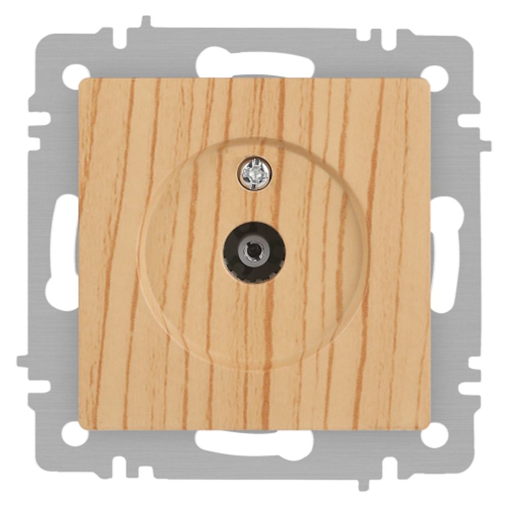 Розетка Intro Accent 6-301-11 TV одиночная, IP20, СУ, сосна | Intro