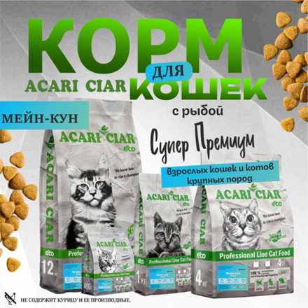 Acari Ciar А КЭТ Мейн-кун Рыба